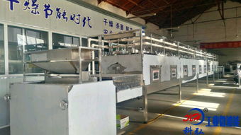 微波五谷雜糧烘焙設備 推動國內農產品深加工轉型升級的新模式