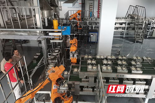 六月, 紅藍綠 里讀湖南