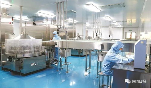 對標(biāo)先進(jìn) 破冰突圍 宜昌化工產(chǎn)業(yè)轉(zhuǎn)型升級(jí)的破局之路